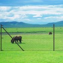 Chain-Link Fence Set with Posts and Hardware 1x25 m Grey