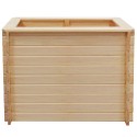 Garden Planter 100x50x80 cm Pinewood