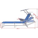 Outdoor Sun Lounger with Canopy Blue Steel 58x189x27 cm