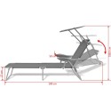 Outdoor Sun Lounger with Canopy Grey Steel 58x189x27 cm