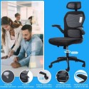 Ergonomic Office Chair with Adjustable Height Headrest Retractable Armrest Tilt Function High-back Executive Mesh Chair