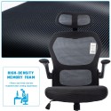 Ergonomic Office Chair with Adjustable Height Headrest Retractable Armrest Tilt Function High-back Executive Mesh Chair