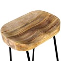 Gavin Bar Stools 2 pcs Solid Mango Wood