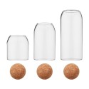 3PCS Glass Food Storage Container Jars Transparent Food Storage Canister with Airtight Seal Wood Lid Ball for Grains Tea Coffee 