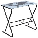 Mordern Glass Desk with World Map Pattern