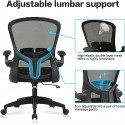 Ergonomic Desk Chair with Adjustable Height, Swivel Computer Chair with Lumbar Support and Flip-up Arms, Backrest with Breathable Mesh (Black)