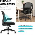 Ergonomic Desk Chair with Adjustable Height, Swivel Computer Chair with Lumbar Support and Flip-up Arms, Backrest with Breathable Mesh (Black)