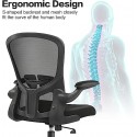 Ergonomic Desk Chair with Adjustable Height, Swivel Computer Chair with Lumbar Support and Flip-up Arms, Backrest with Breathable Mesh (Black)