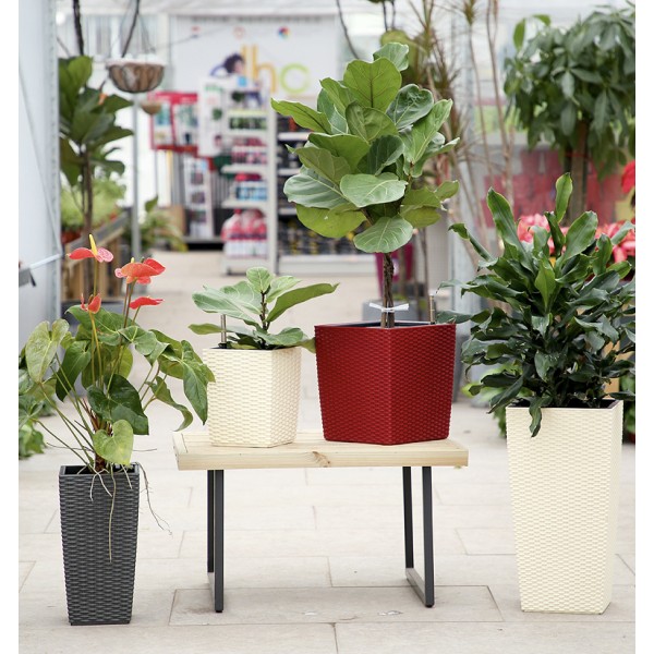 3 Rattan Flower Pots Red